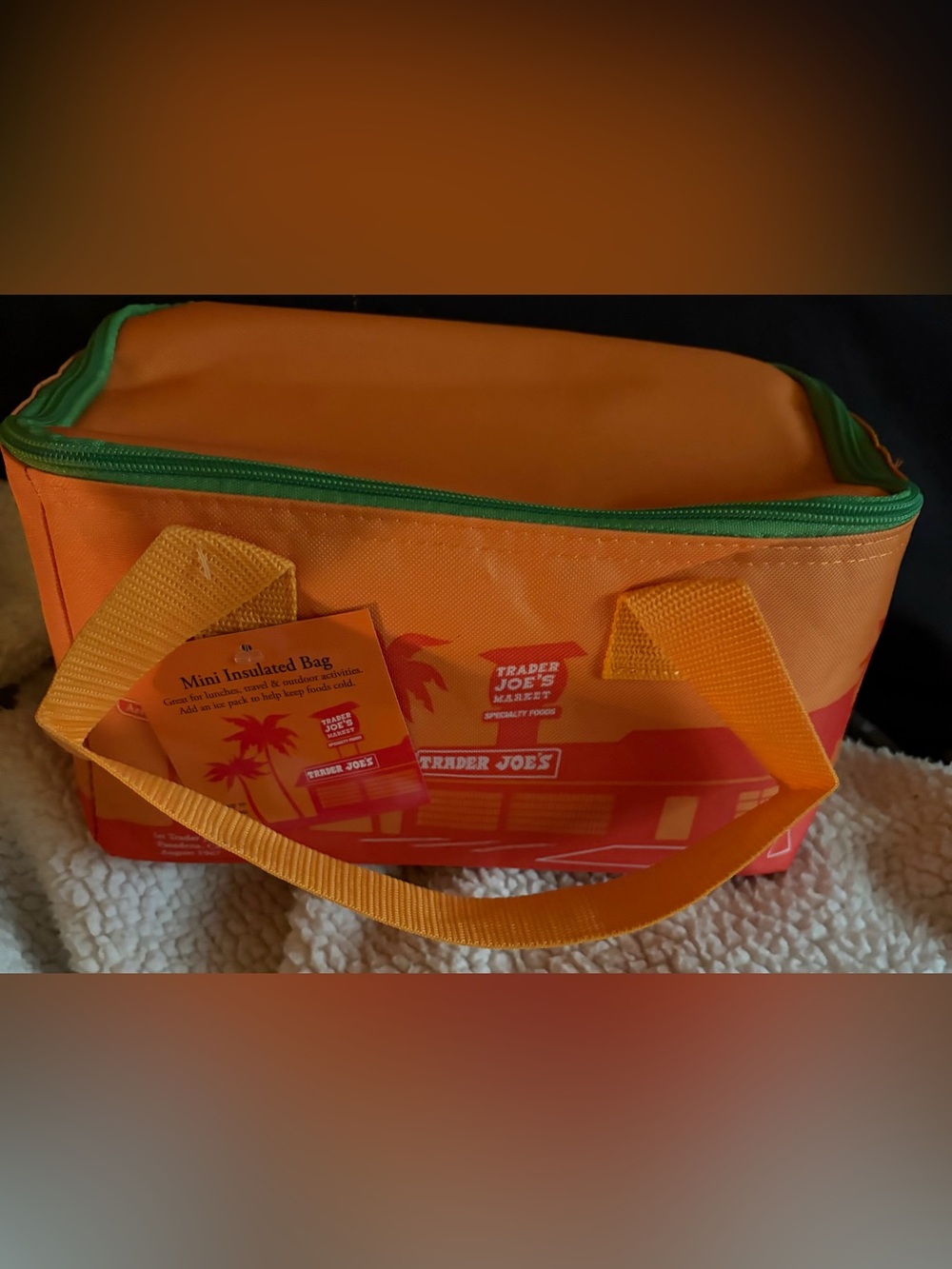 Trader Joe’s mini cooler bag